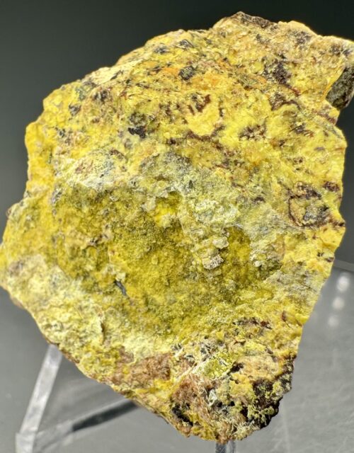"Gummite" Uraninite var. Pitchblende: Rabbit Lake Mine, Athabasca Basin, Saskatchewan, Canada