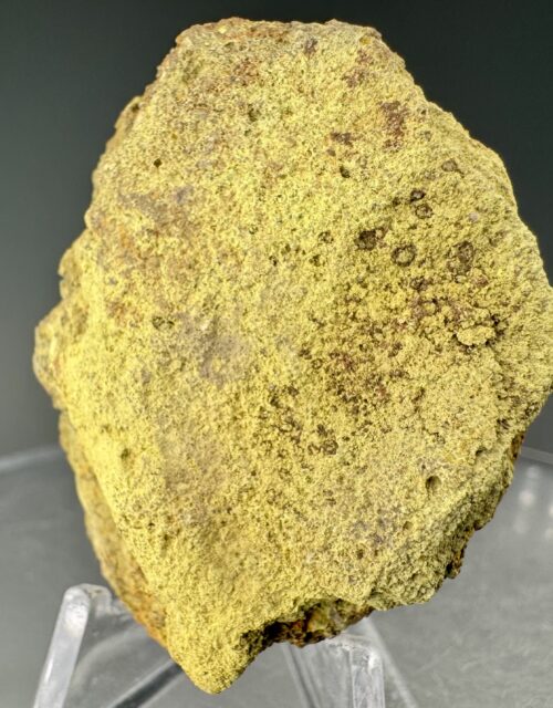 Carnotite, Pascoite: Vanadium King claims, Temple Mountain Mining District, Emery County, Utah, USA
