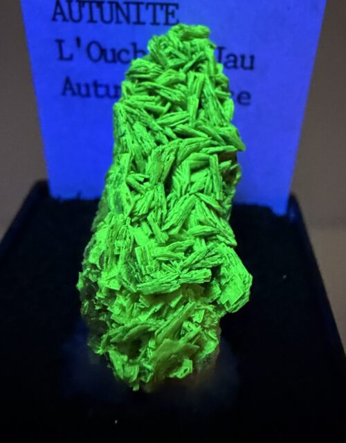 Autunite