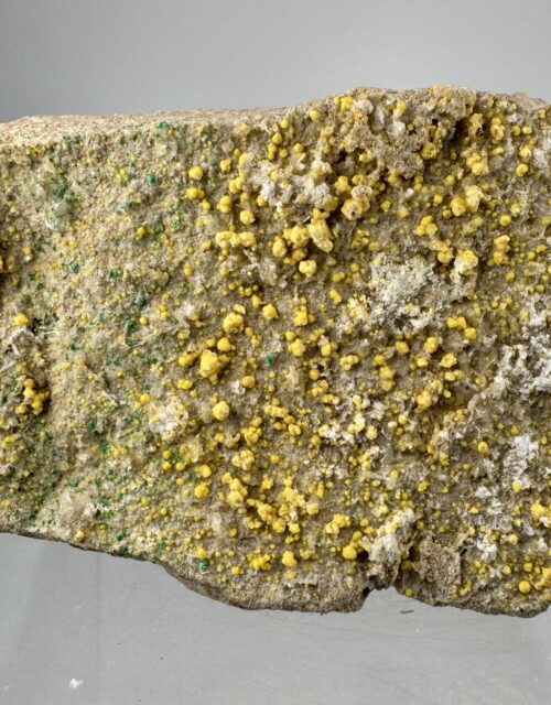 Boltwoodite