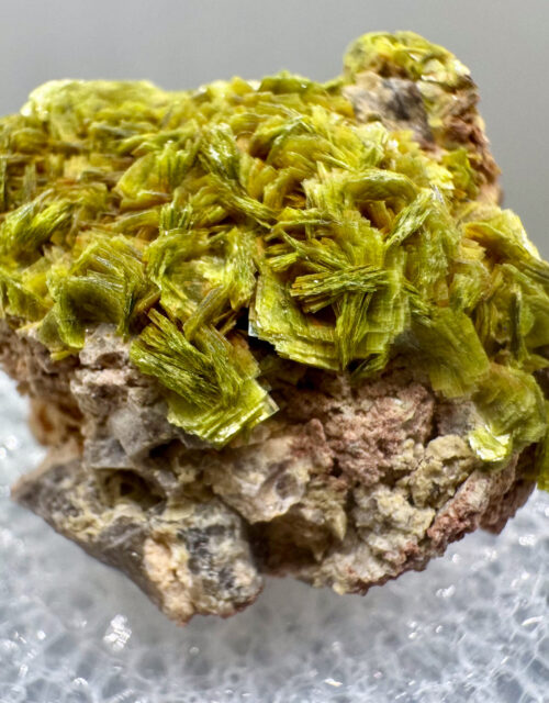 Meta-Autunite