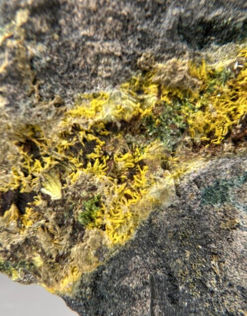 Rutherfordine ps. Schoepite, Uranophane
