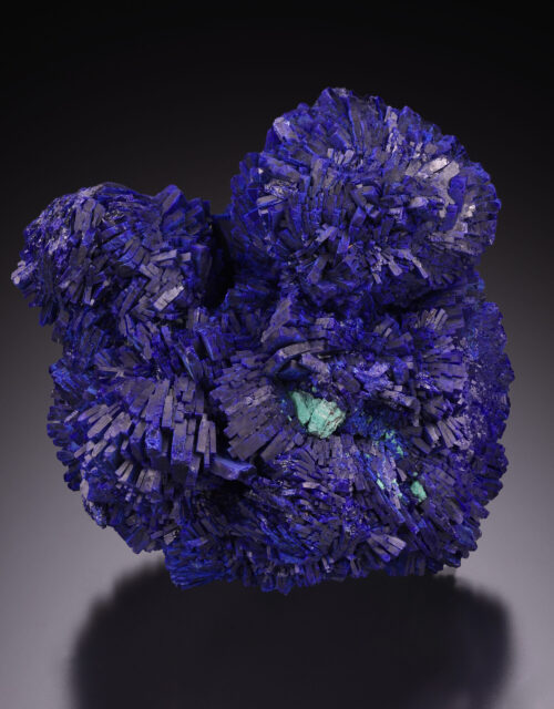 Azurite "Rose" with minor Malachite