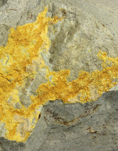 Carnotite