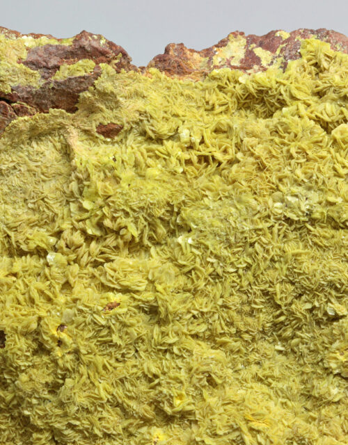 Autunite