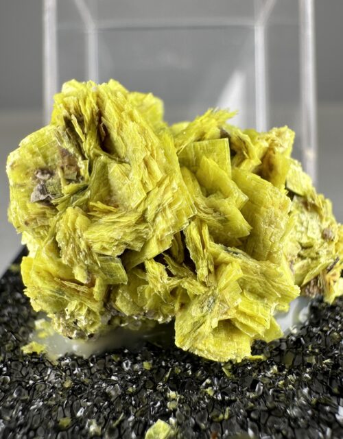 Autunite