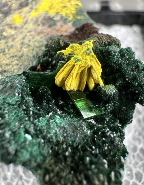 Schoepite ps. Rutherfordine, Metatorbernite